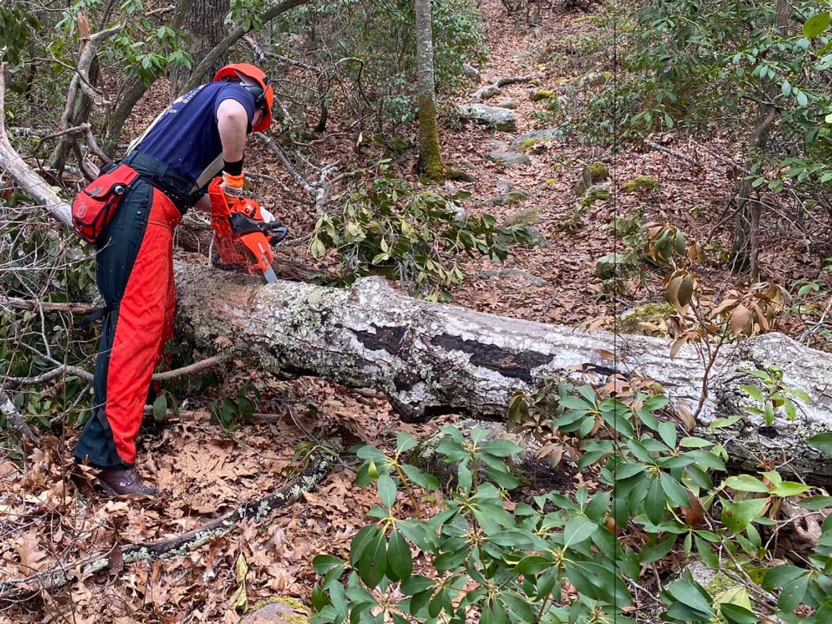 Back cover: Trail crew chain sawing a fallen tree