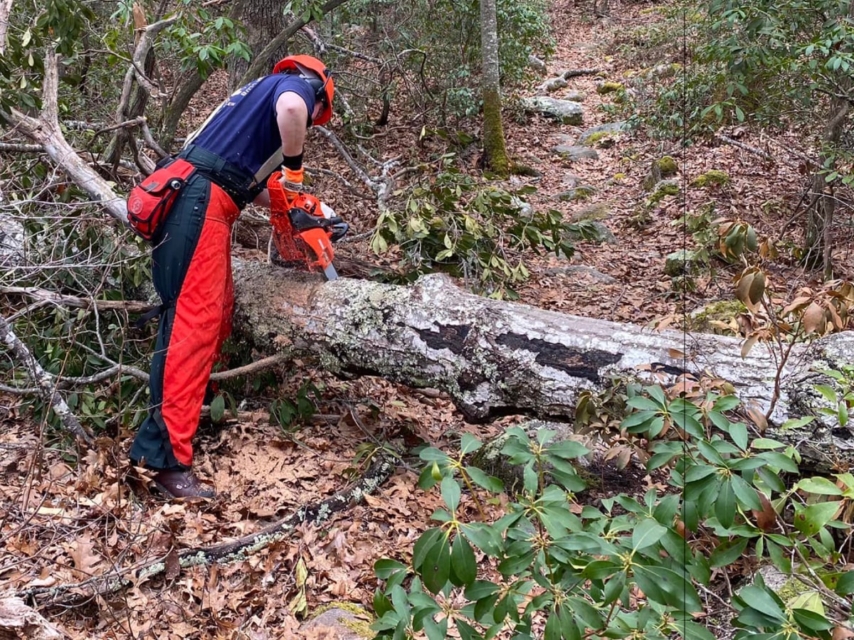 Front cover: Trail crew chain sawing a fallen tree