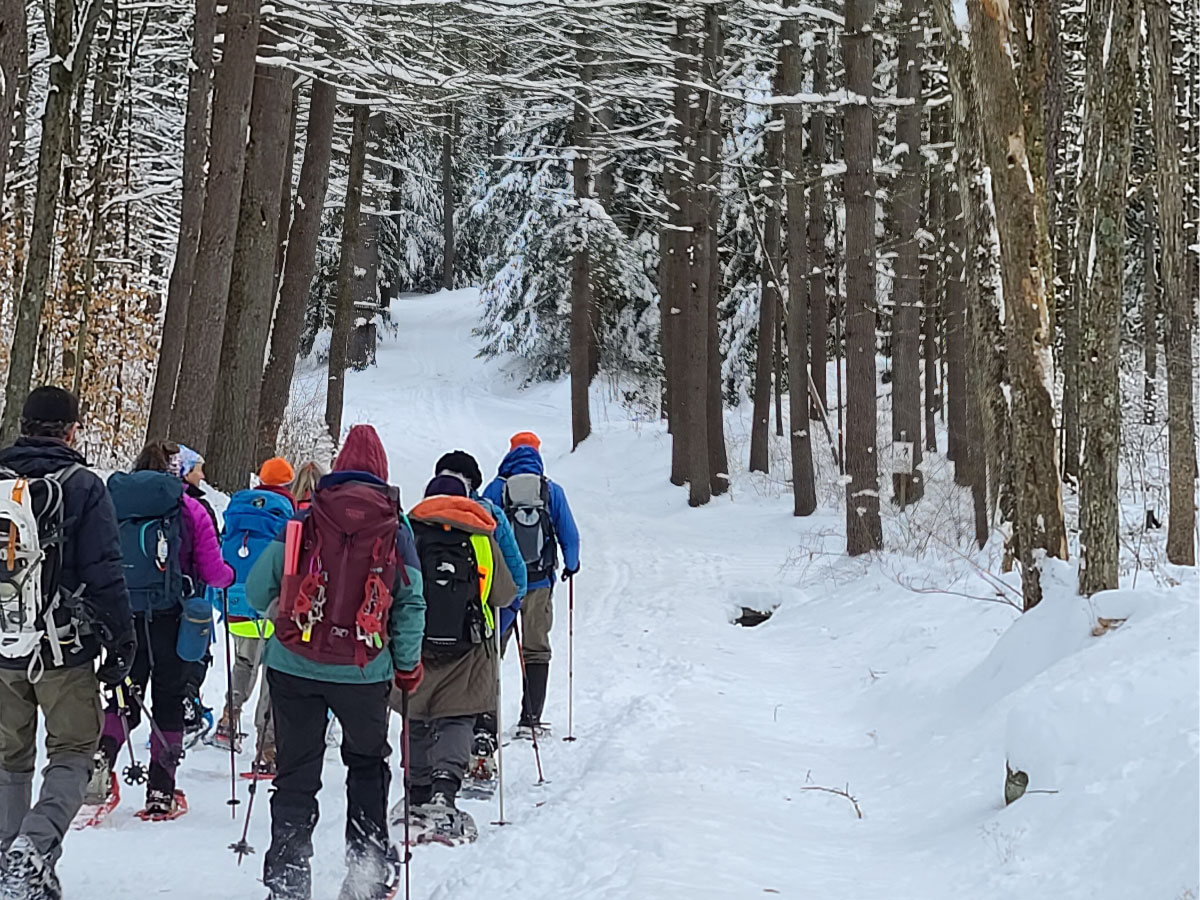 Snowshoers in Wendell State Forest