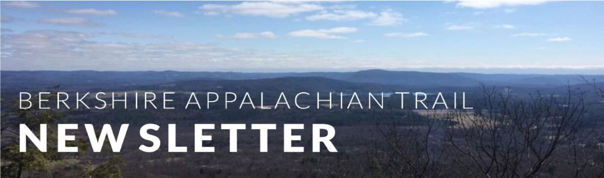 Newsletter cover page