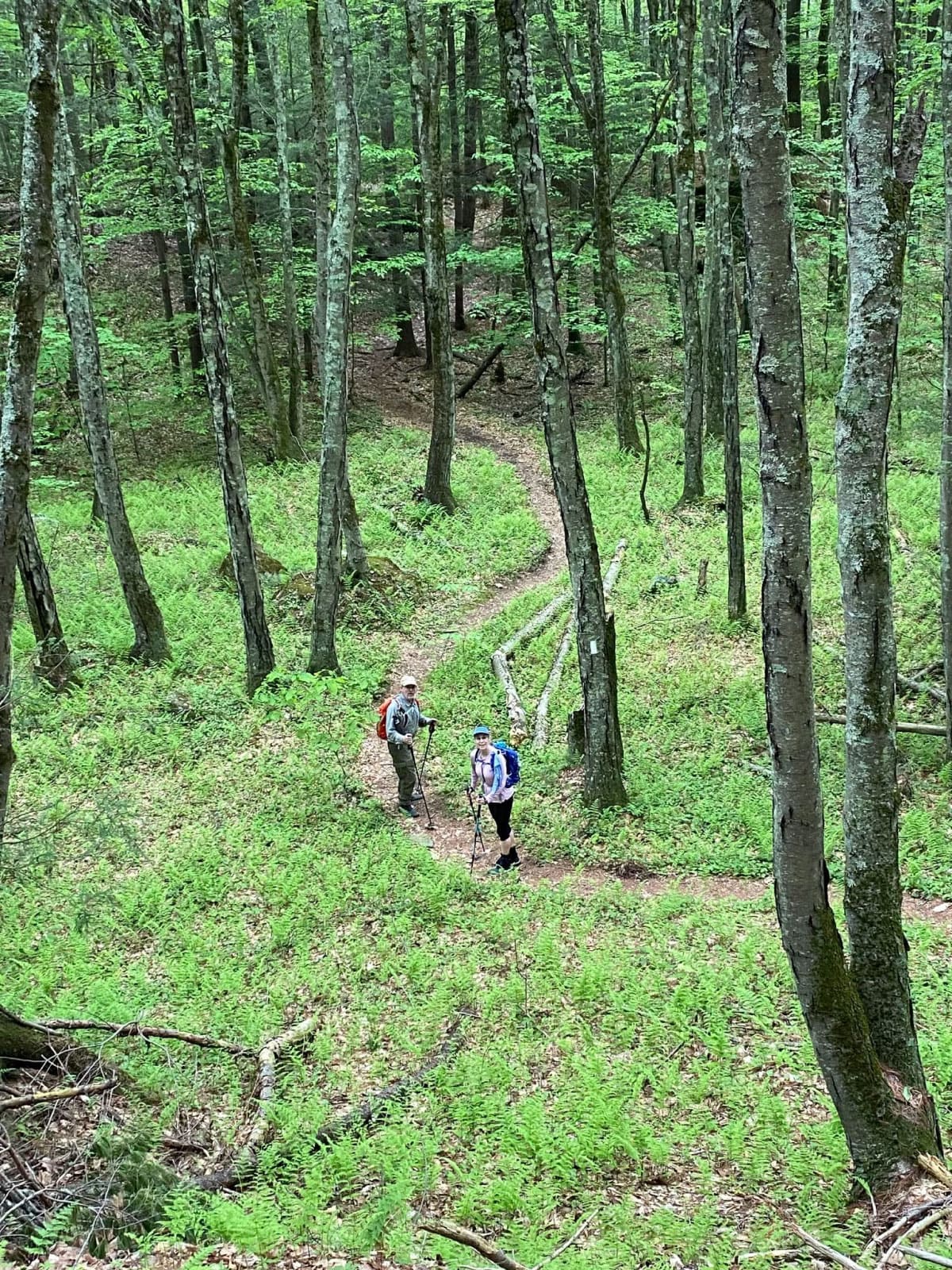 Hiking trail