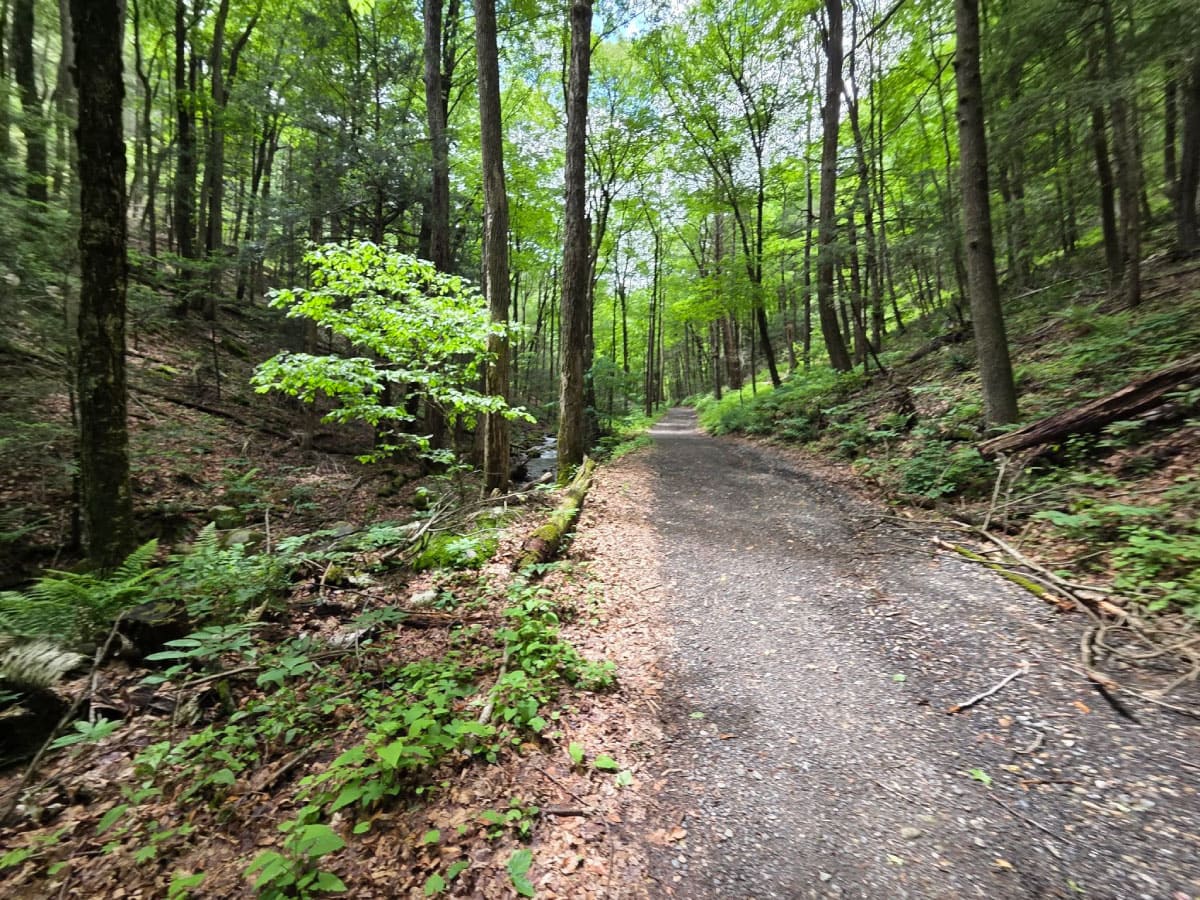 Hiking trail