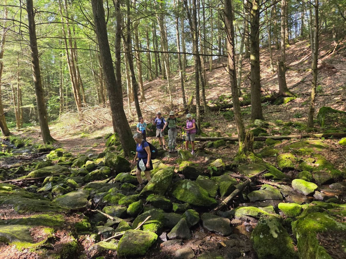 Hikers