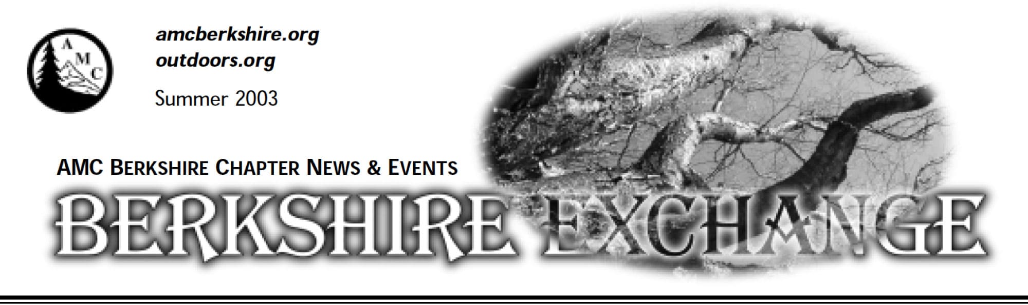 Newsletter heading