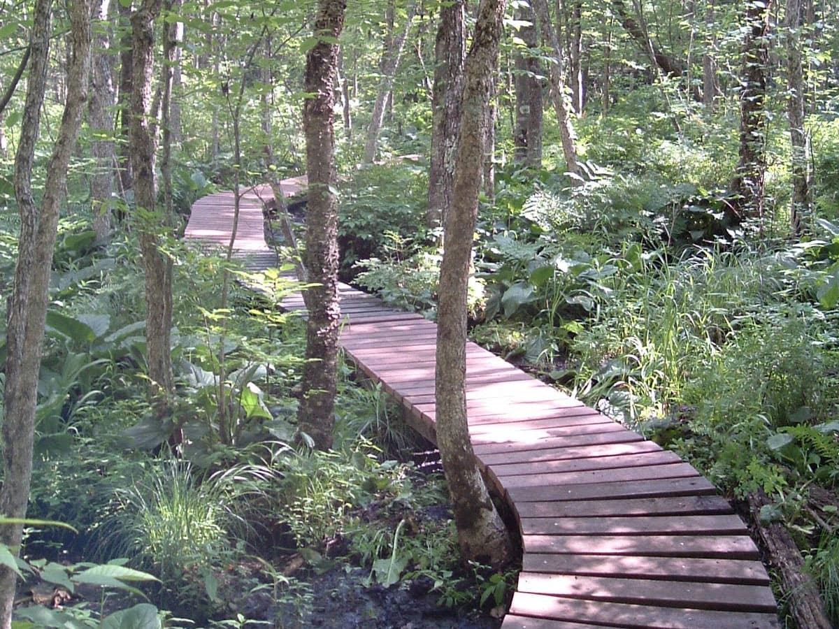 Boardwalk