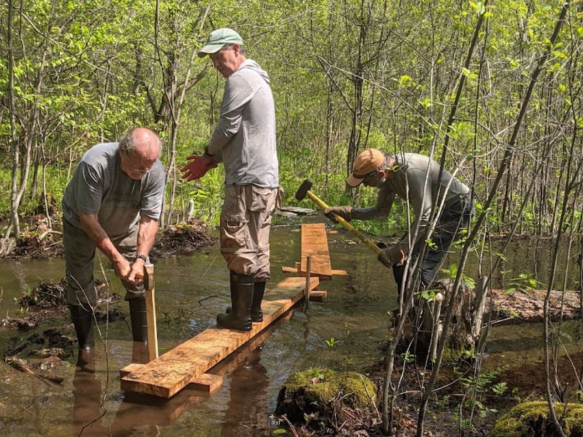 Volunteers building a bog bridge