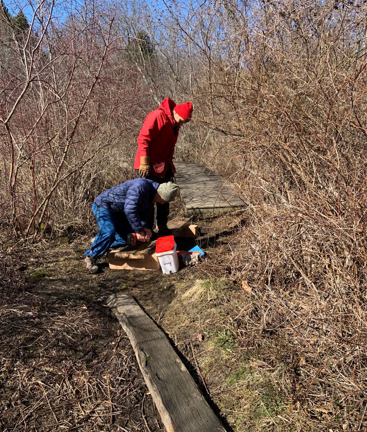 Workers repairing a bog bridge