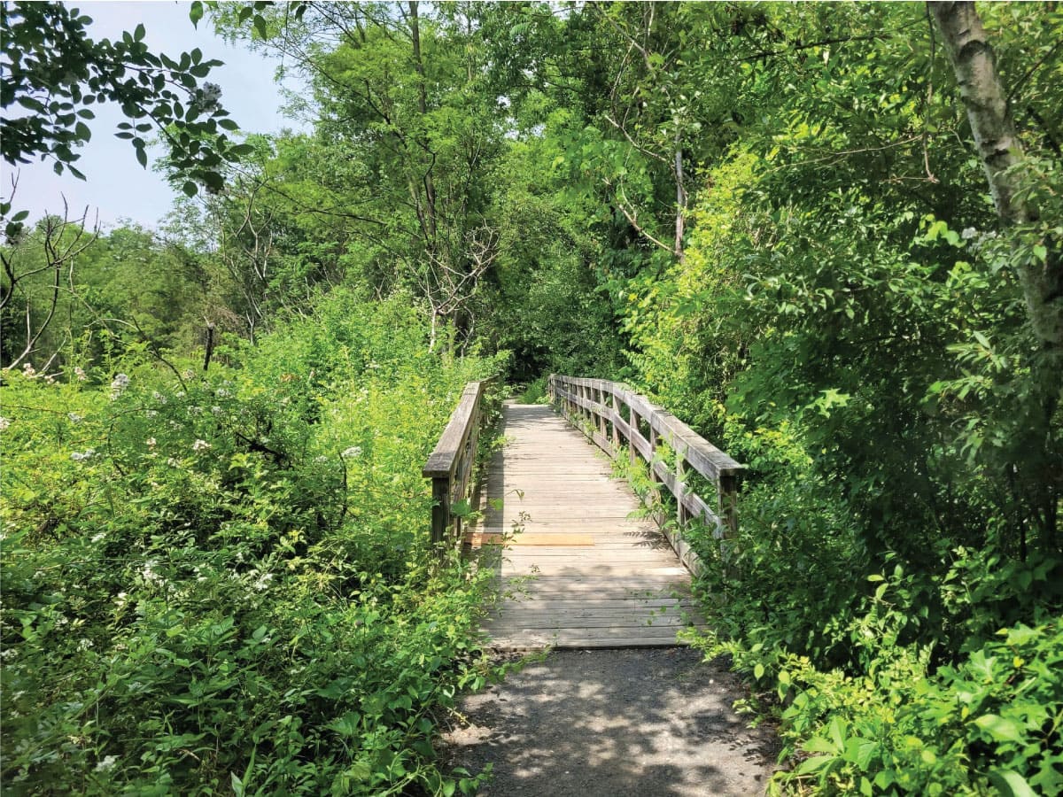 Bridge