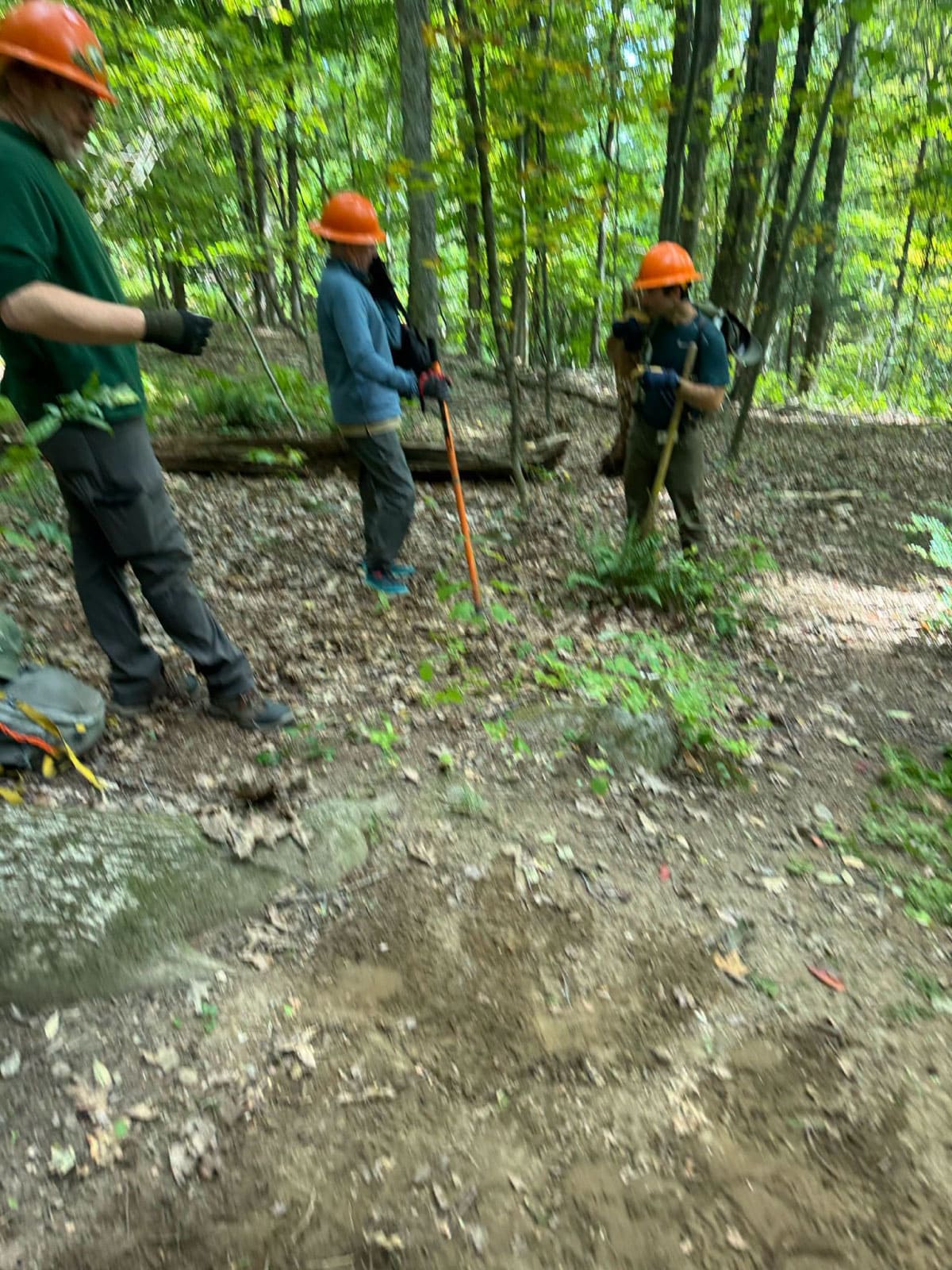 Trail maintainers building a waterbed