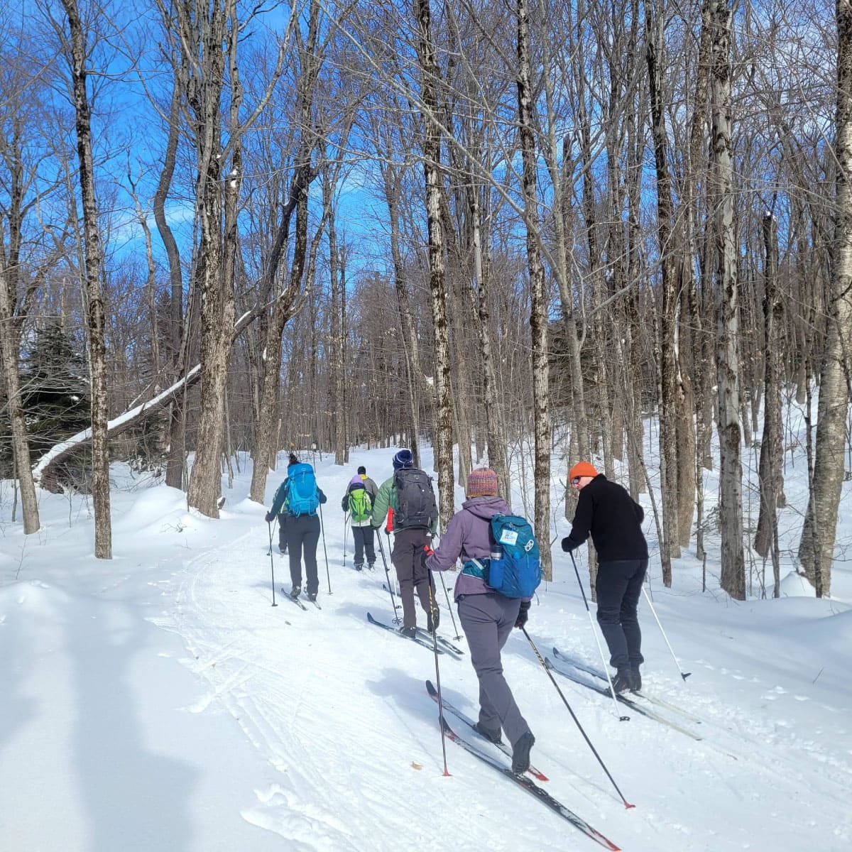 Cross country skiers