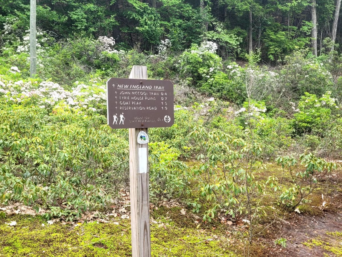 Trail sign