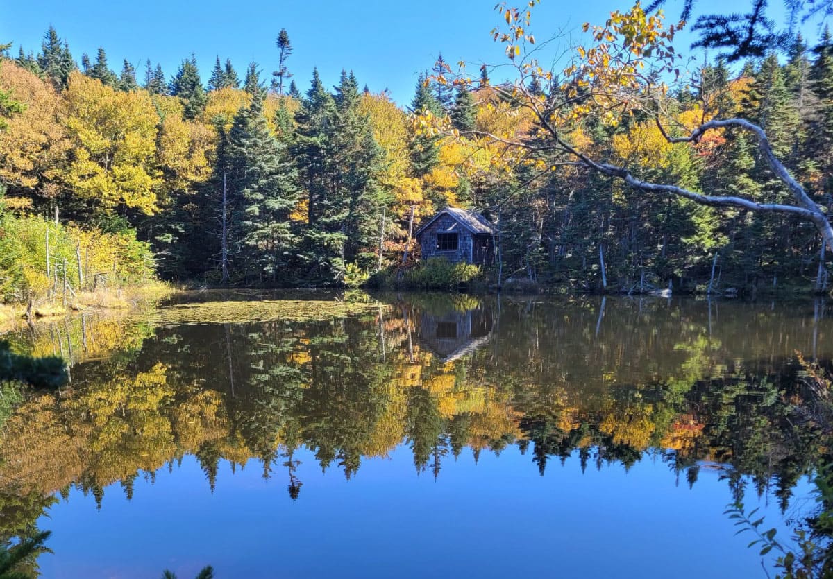 Pond
