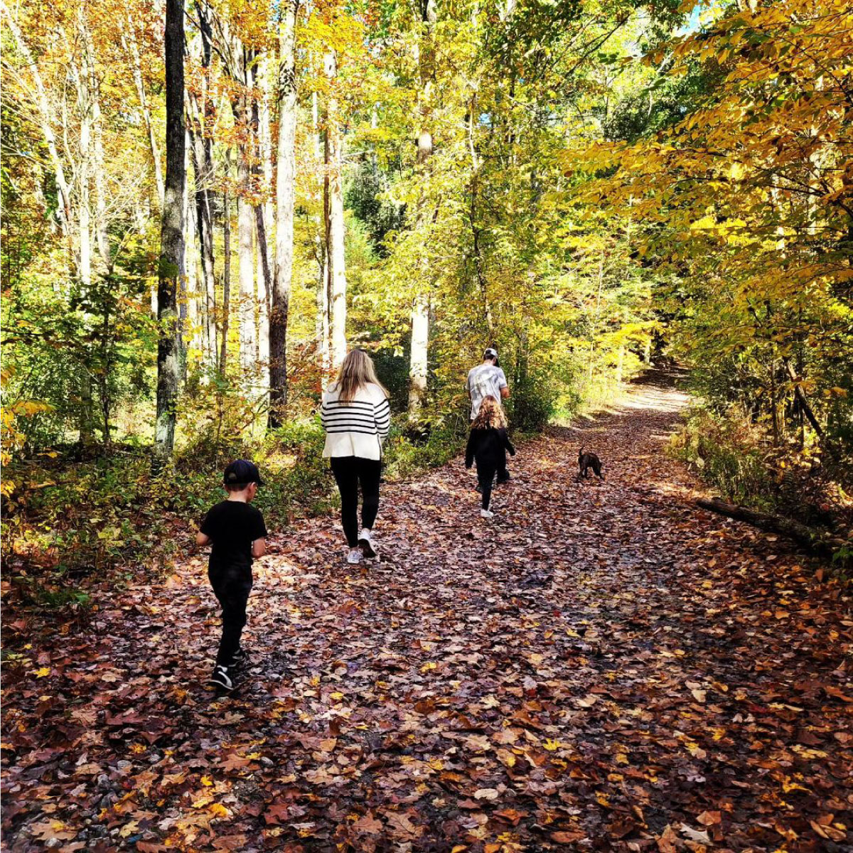 Hikers on a trail in Fall