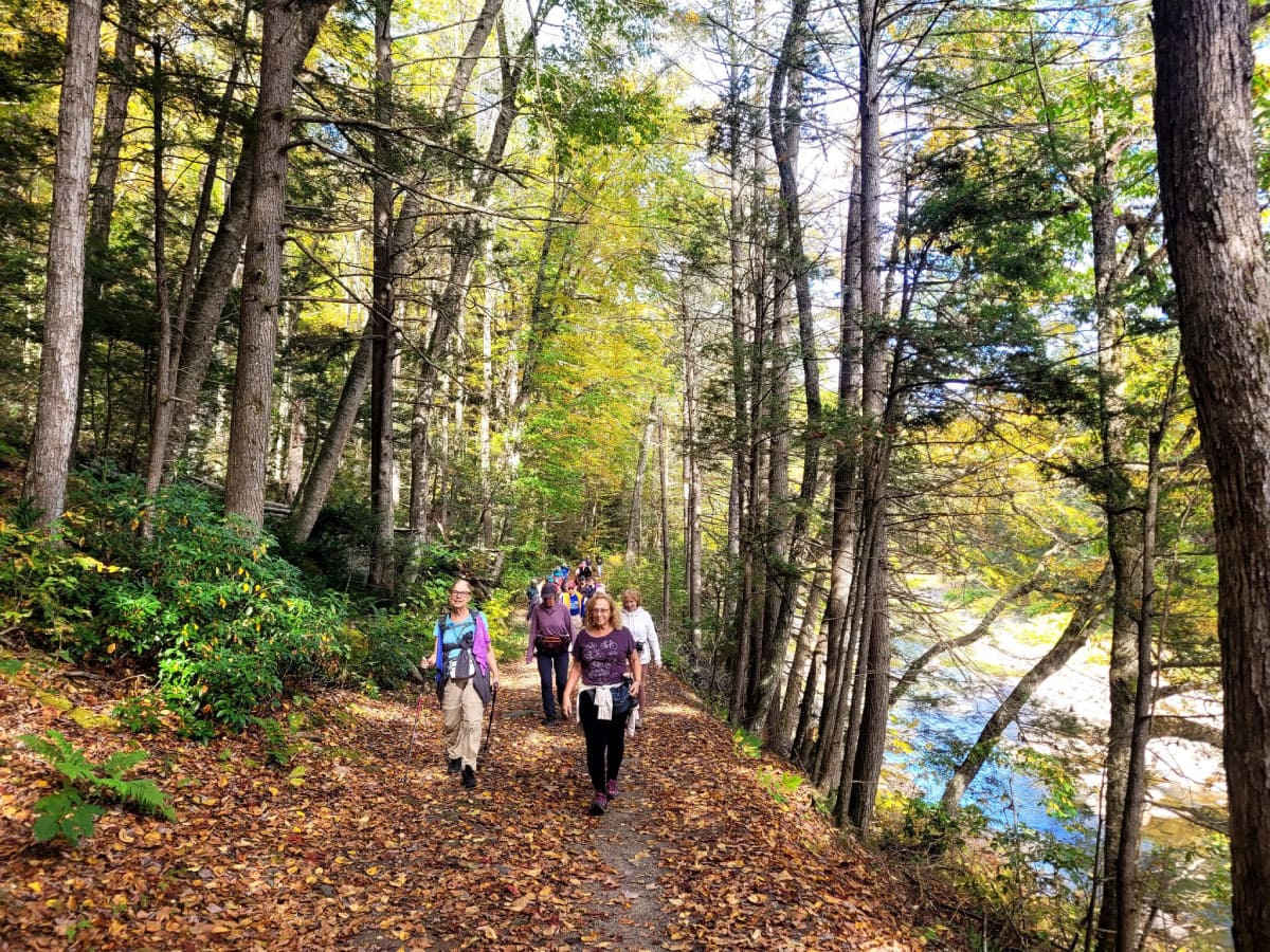 Fall hikers