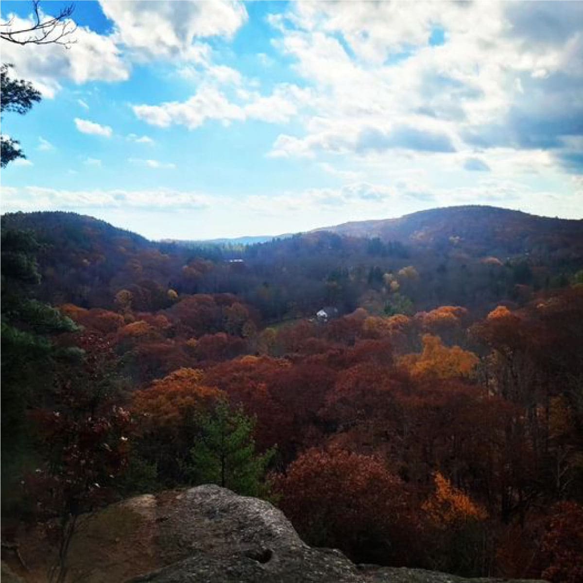 Mountain vista in fall