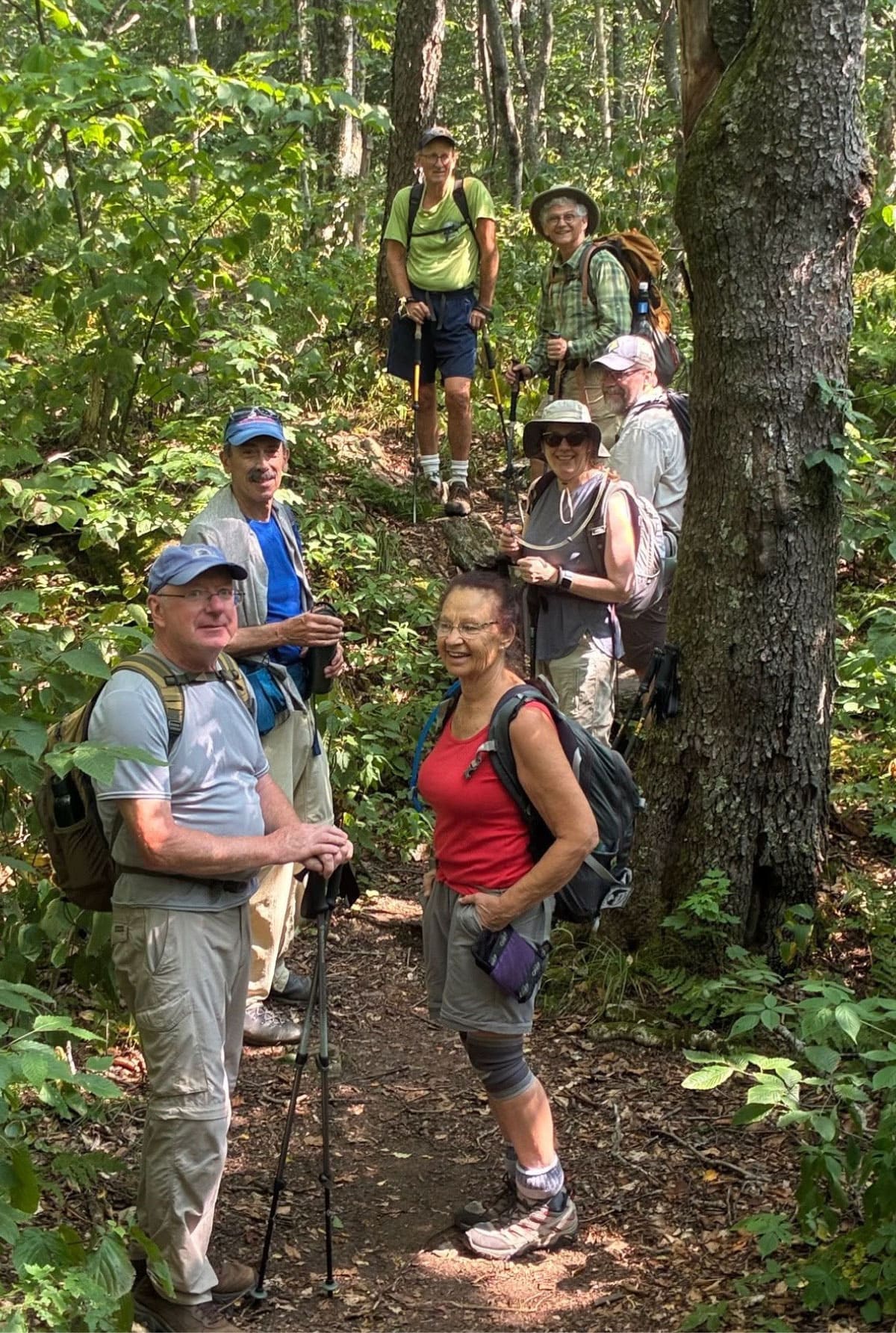 Hikers on the trail