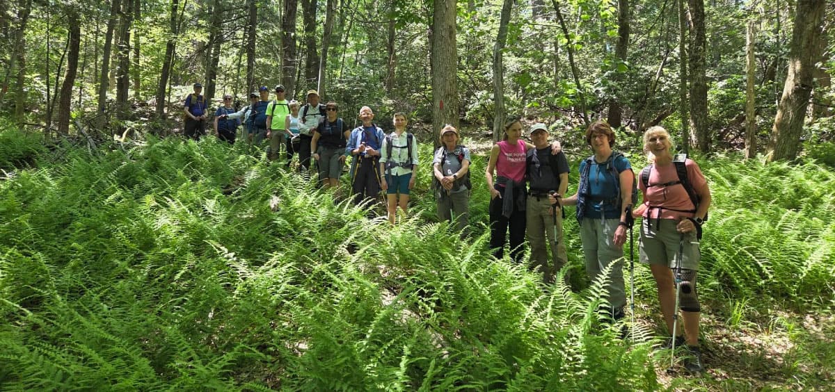Hikers