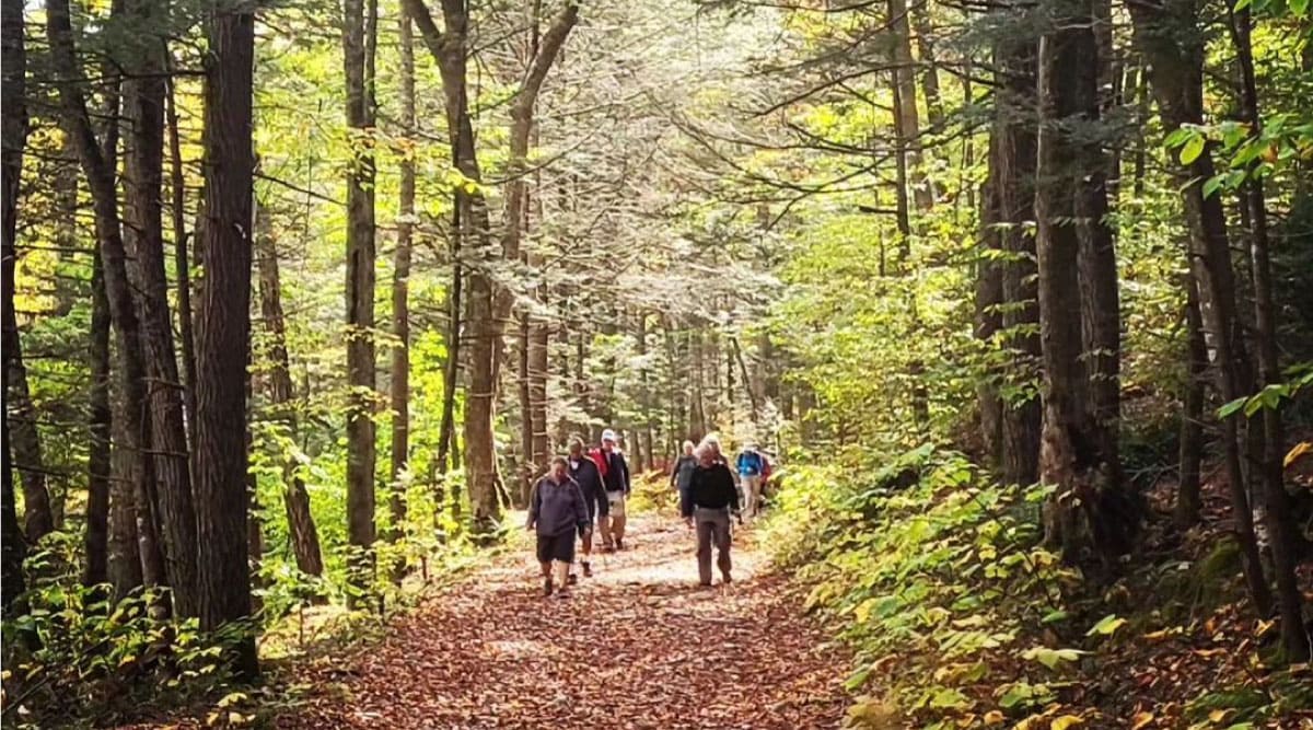 Hikers on a fall day