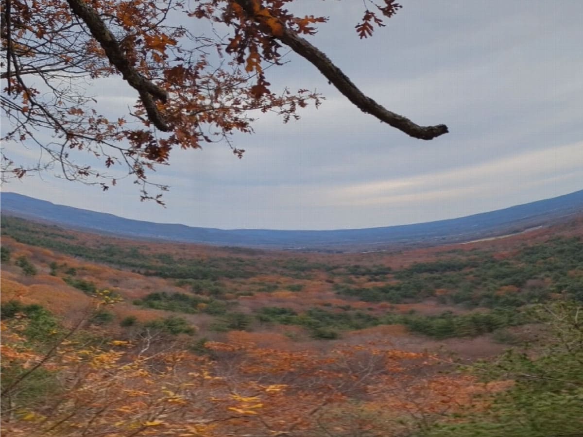 Mountain vista