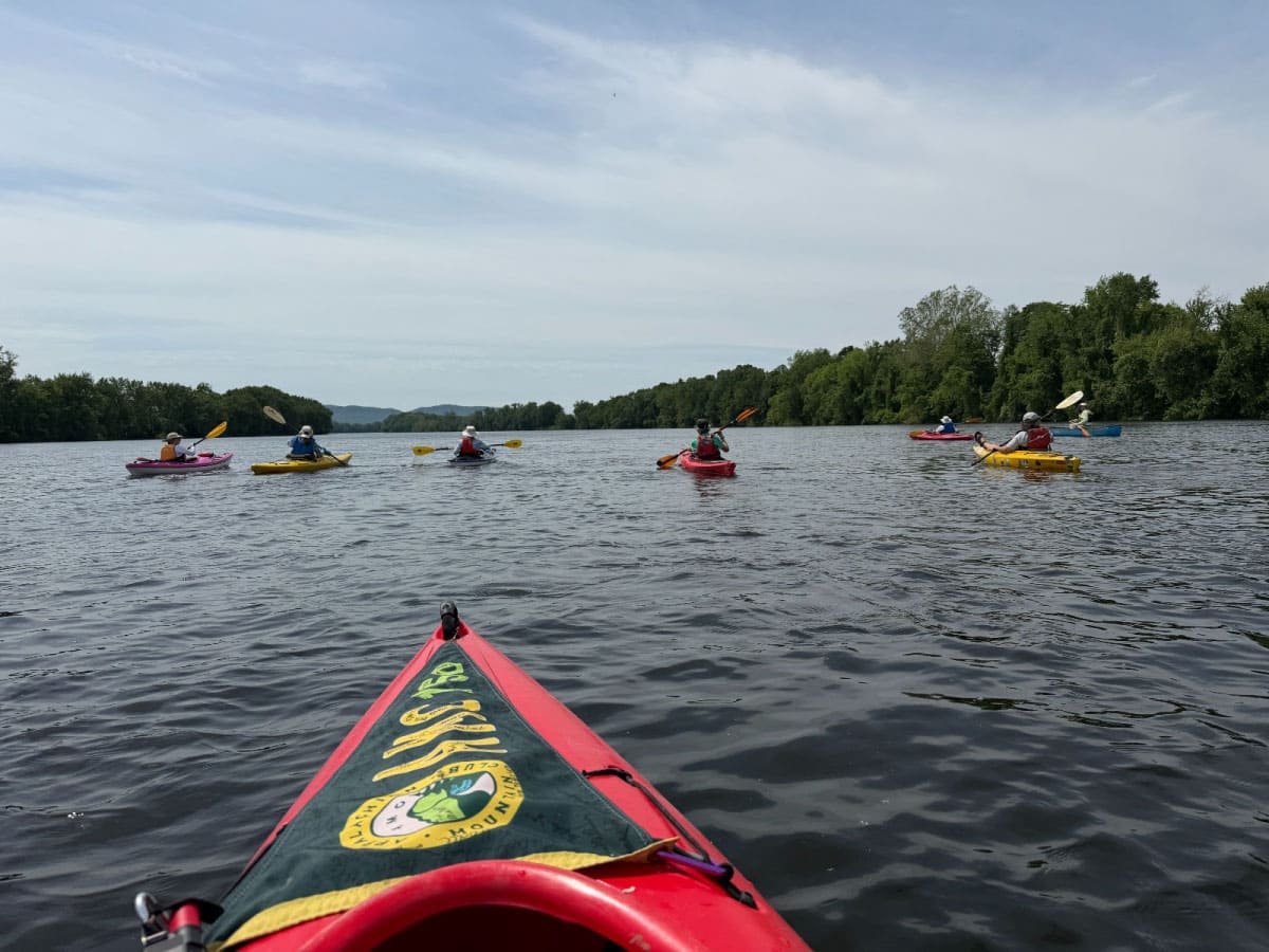 Kayakers