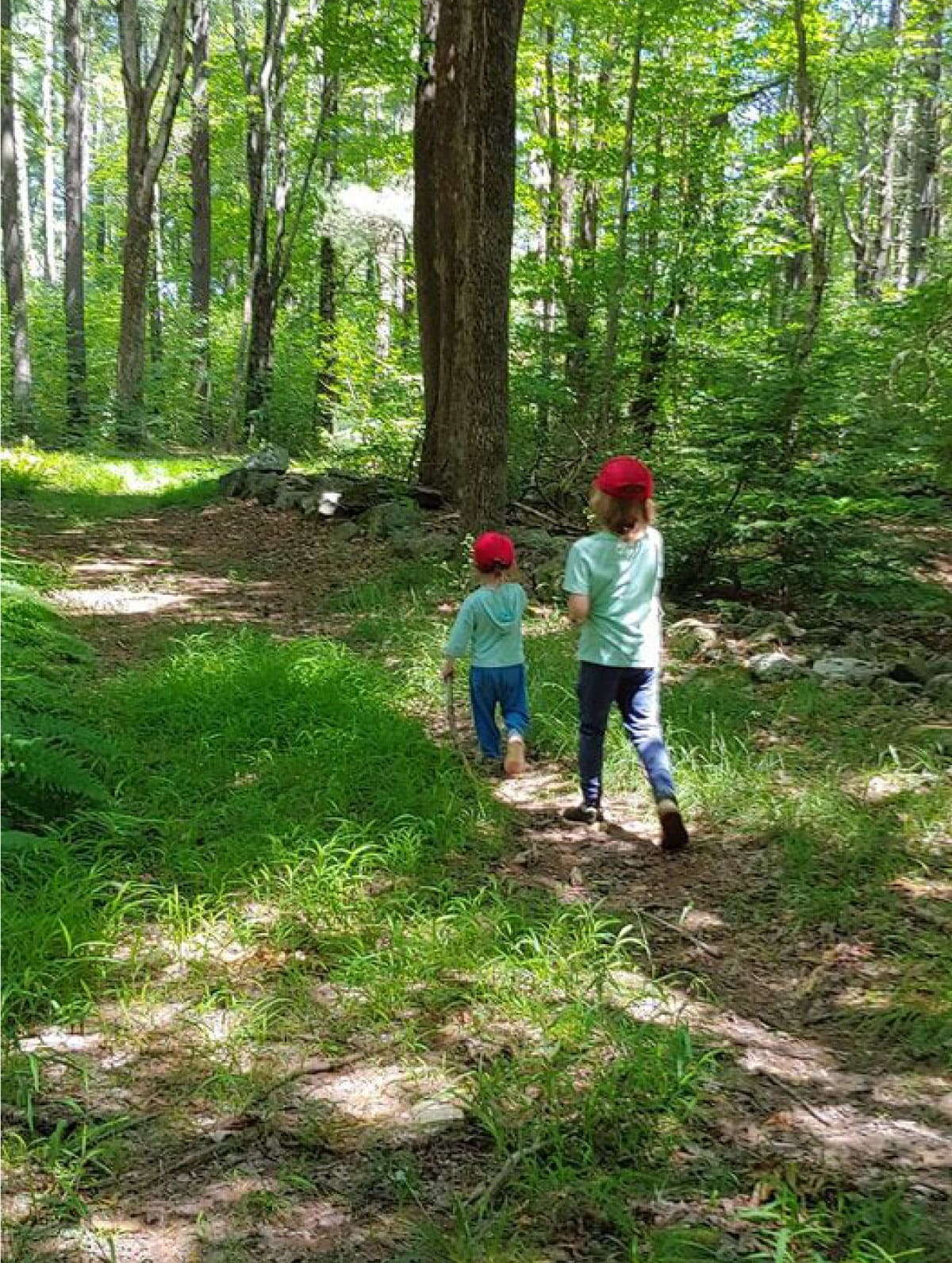 Children hiking