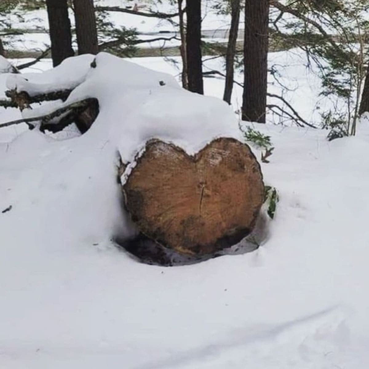 Heart shape