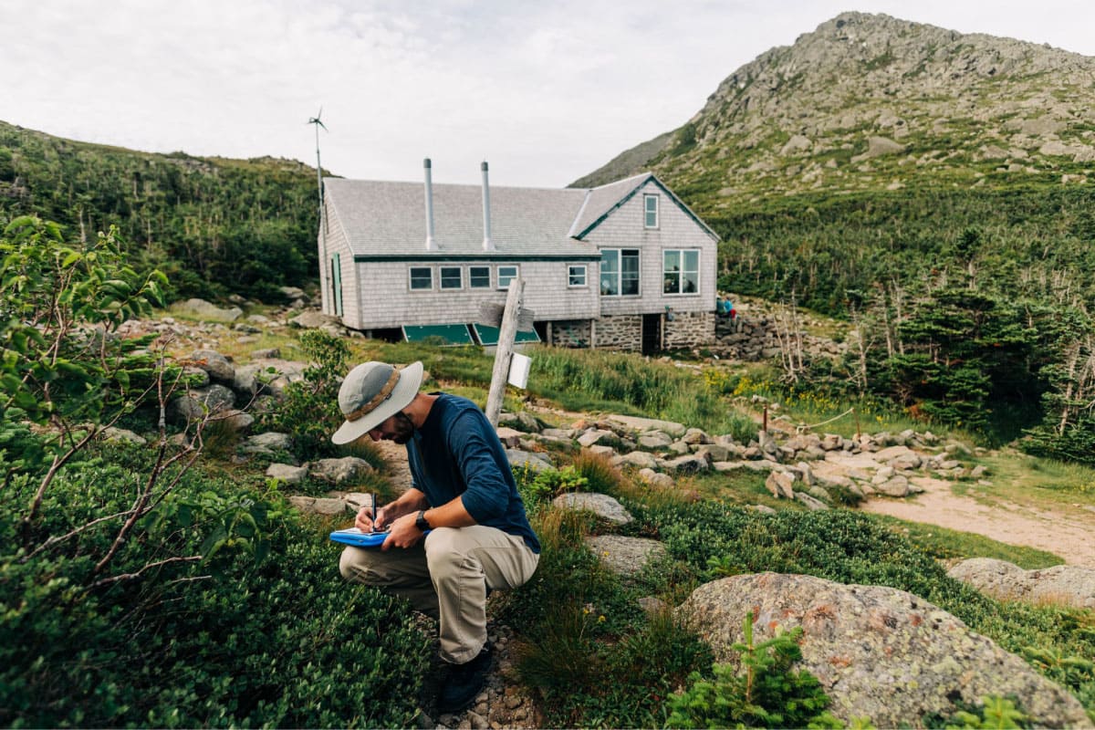 Scientist monitoring plant species