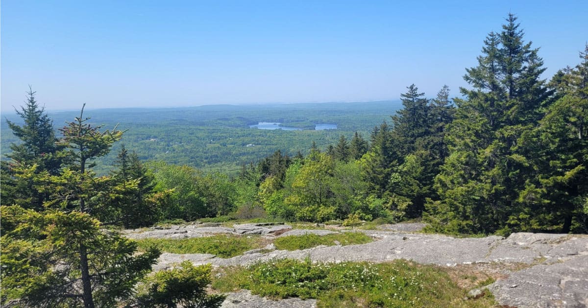 Mountain vista