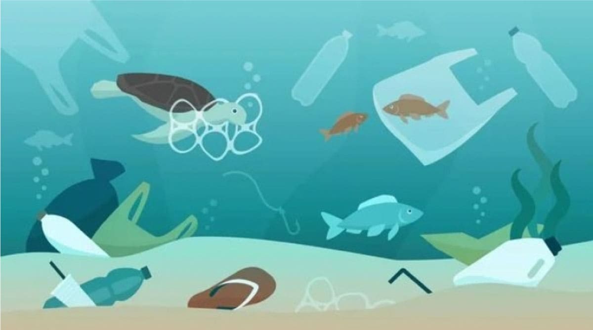 Marine debris illustration
