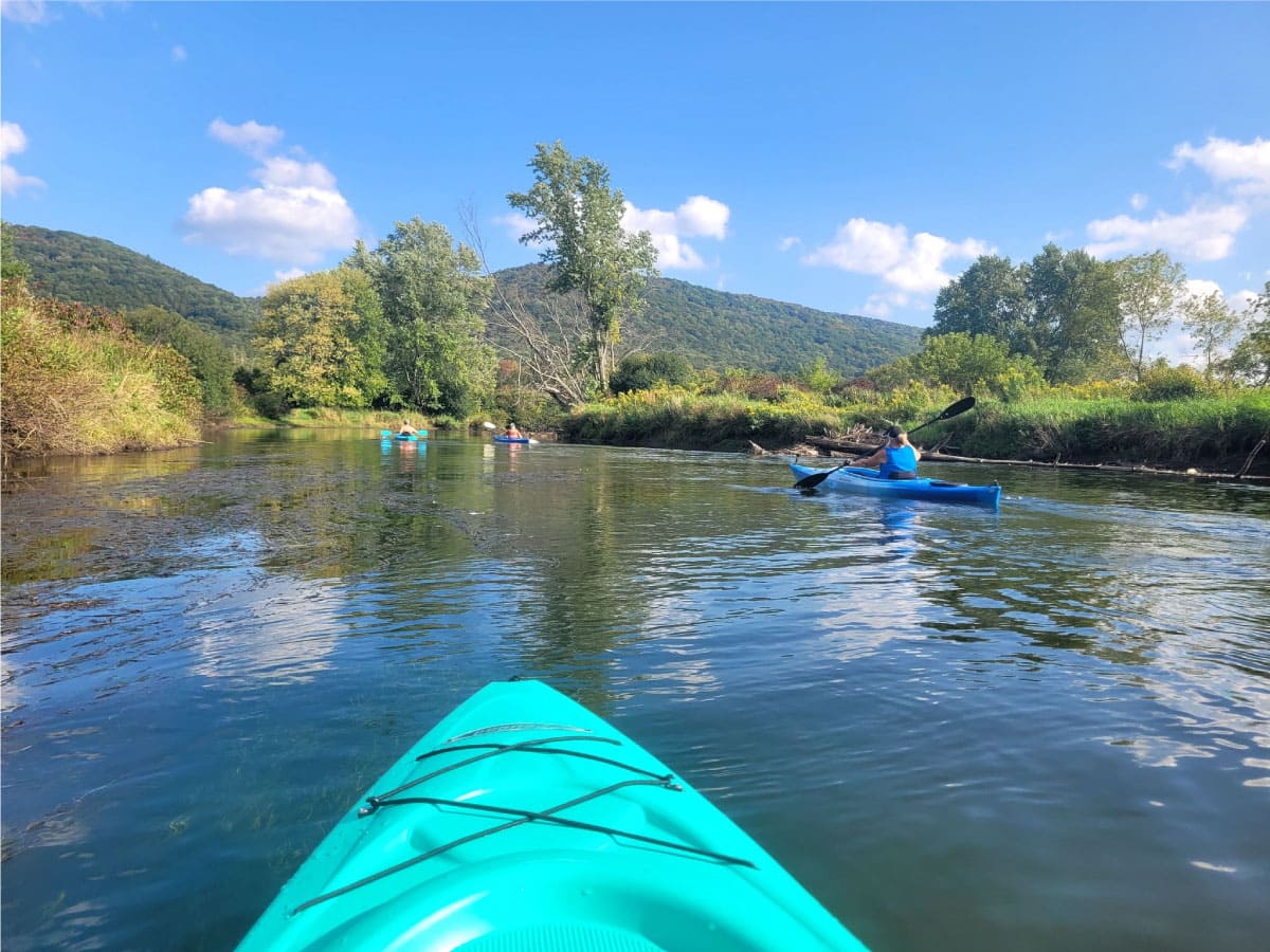 Kayakers on pond