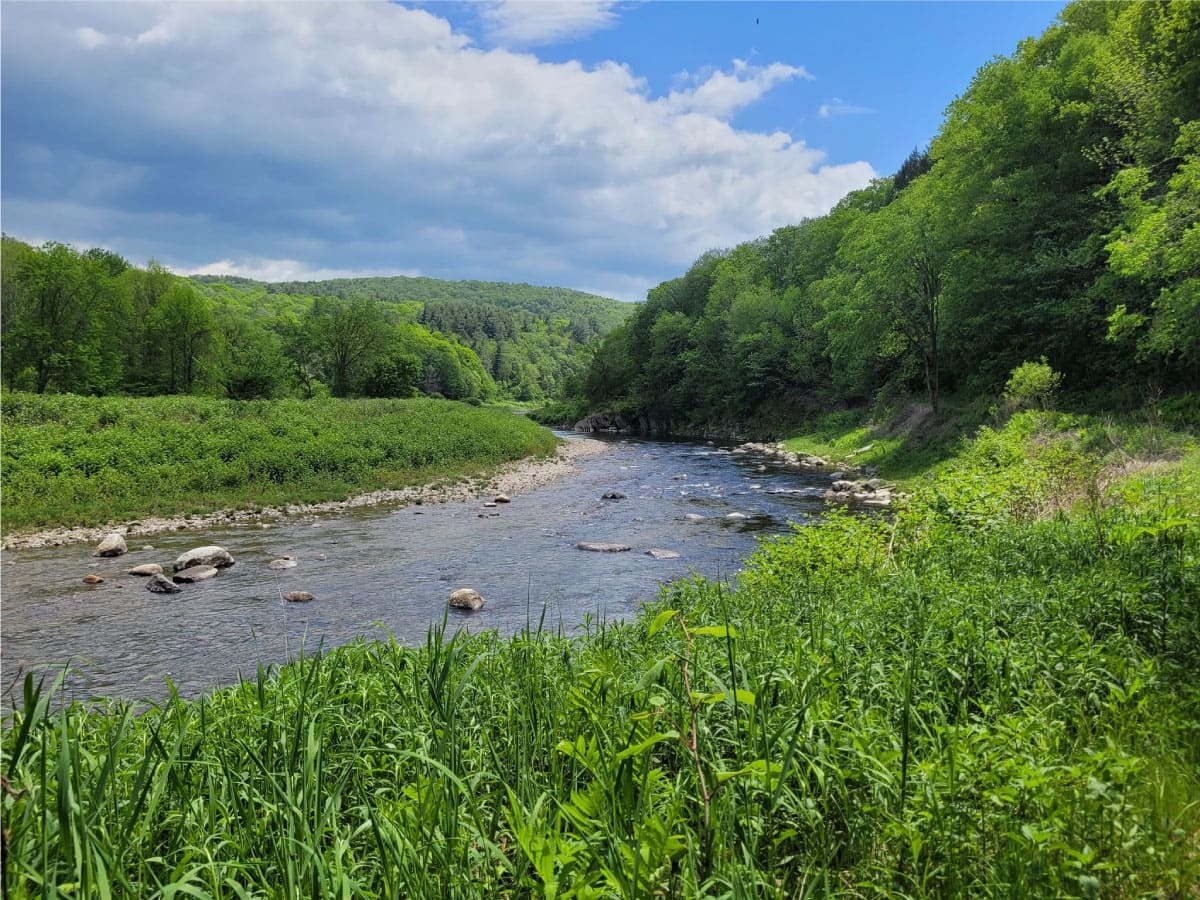 Mountain and river view