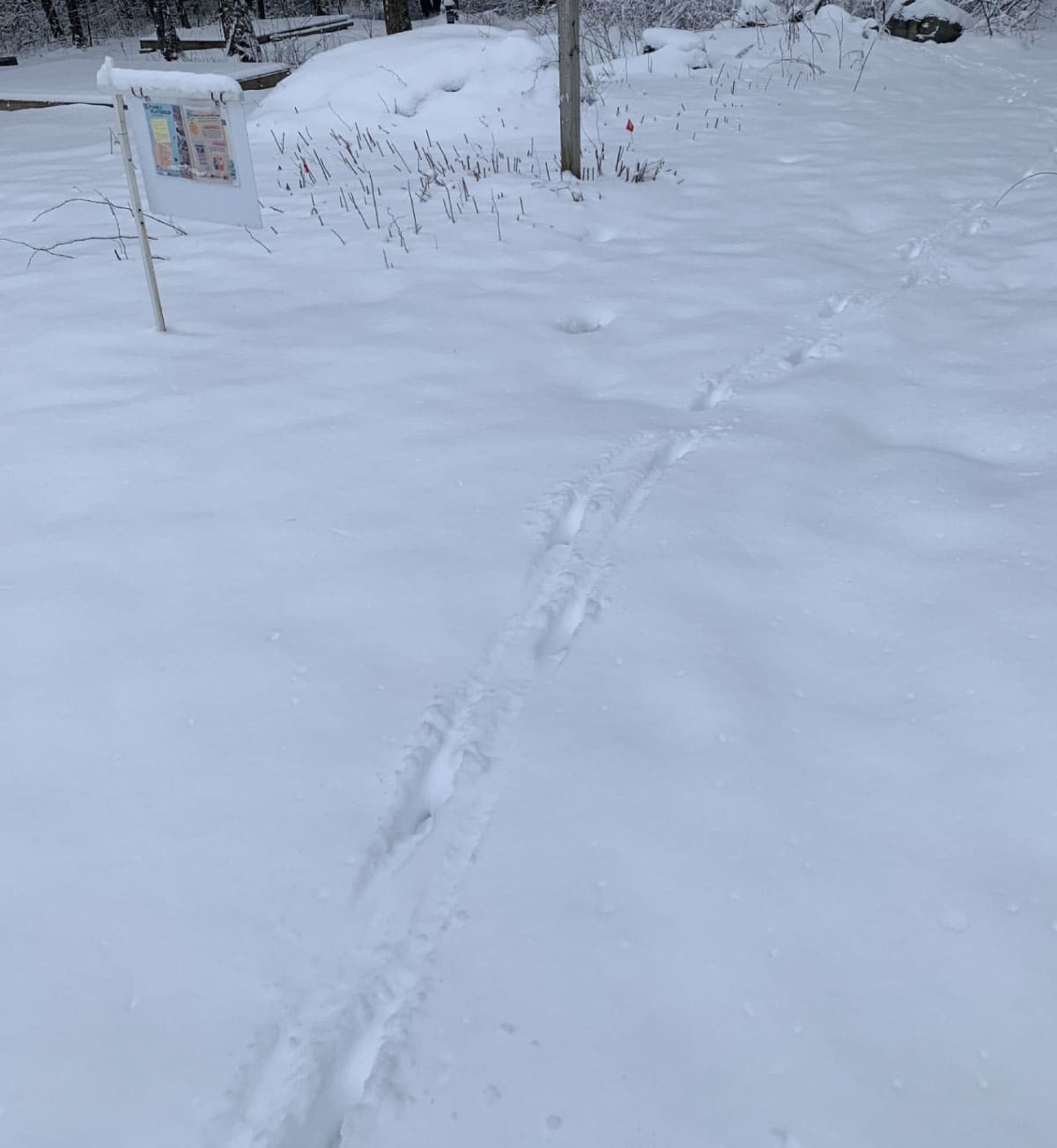 Tracks at Noble View