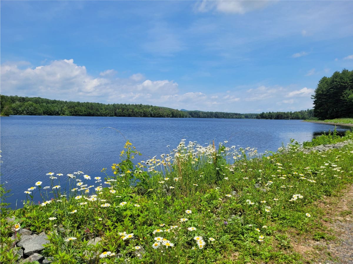Lake