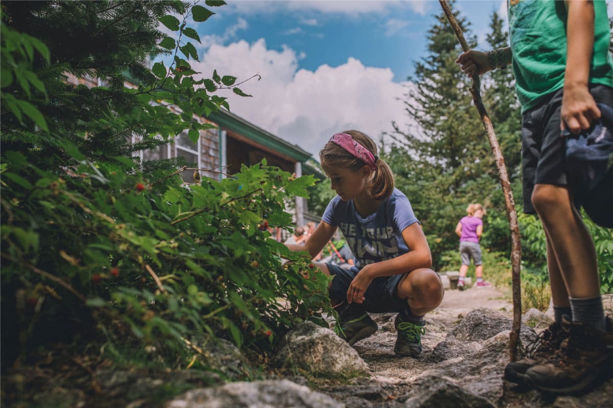 Child examining vegetation