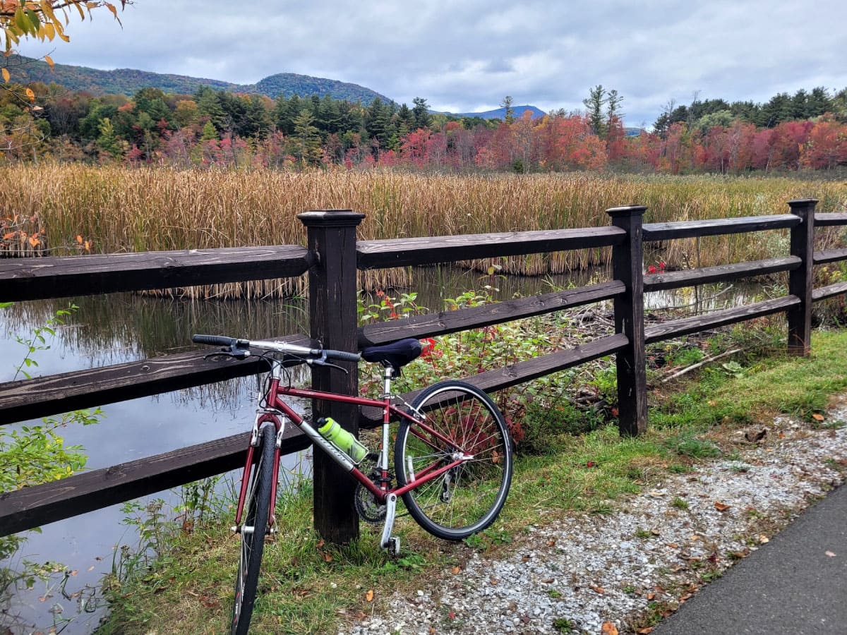 Bike leaning against a fence