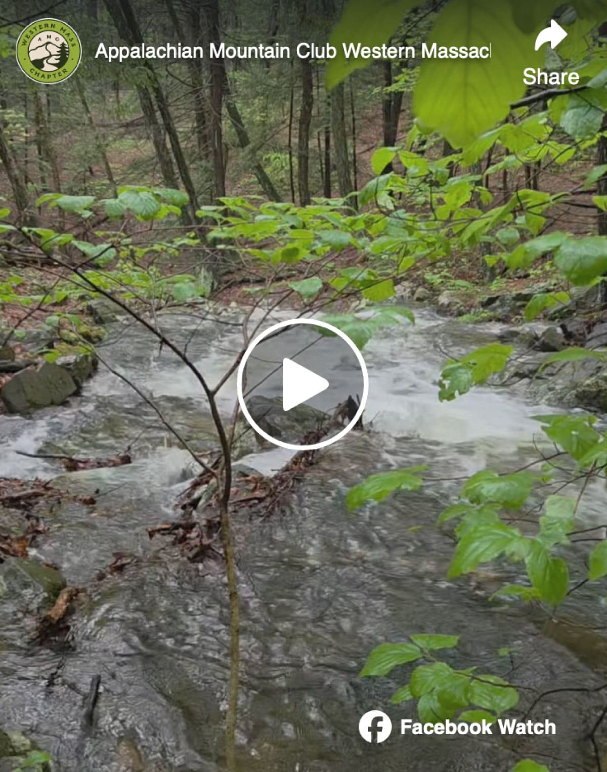Rushing water
