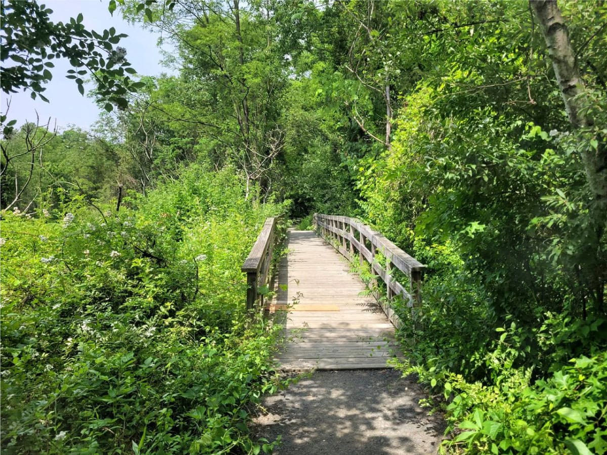 Bridge