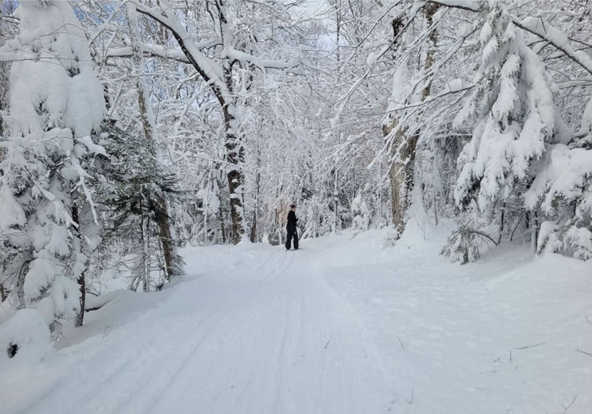 Woman skiing
