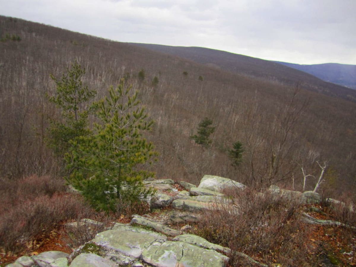 East Mountain in late fall