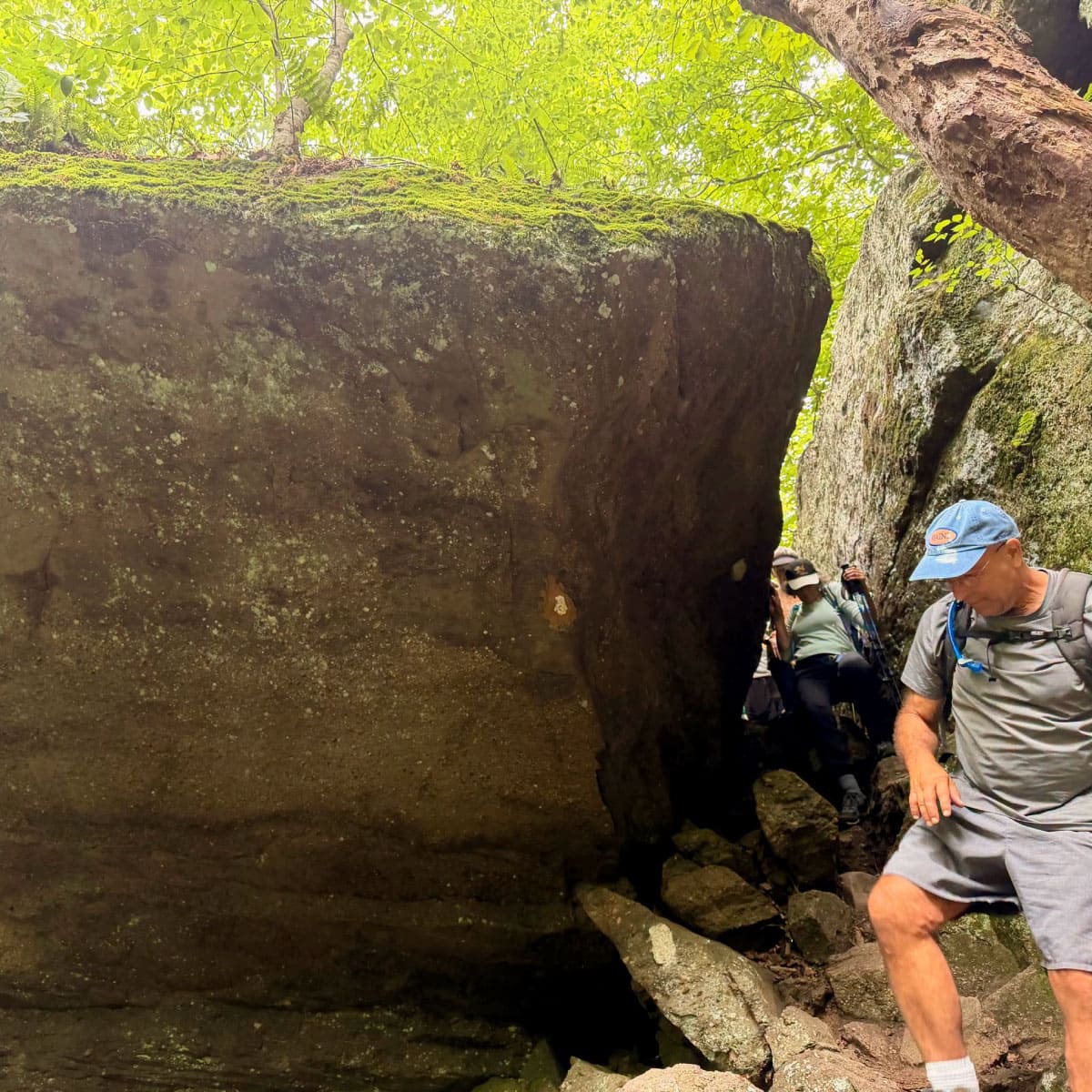 Hikers
