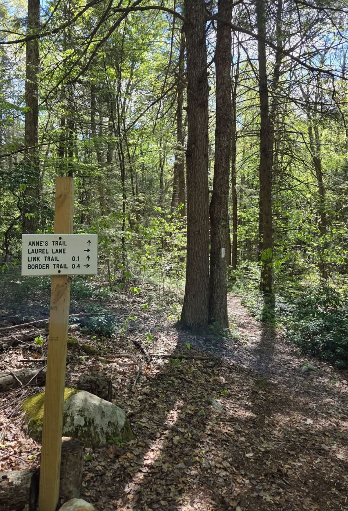 Trail sign