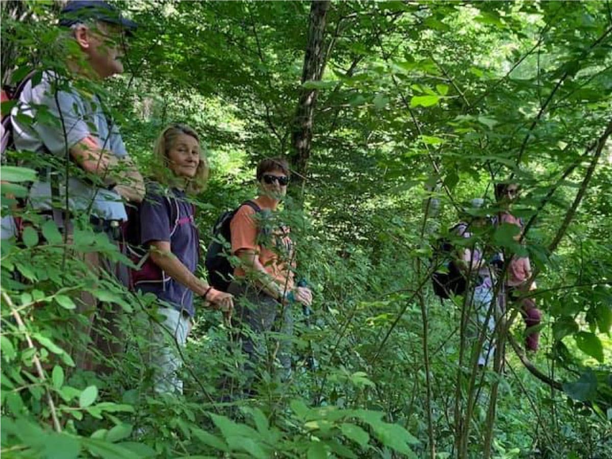 Hikers