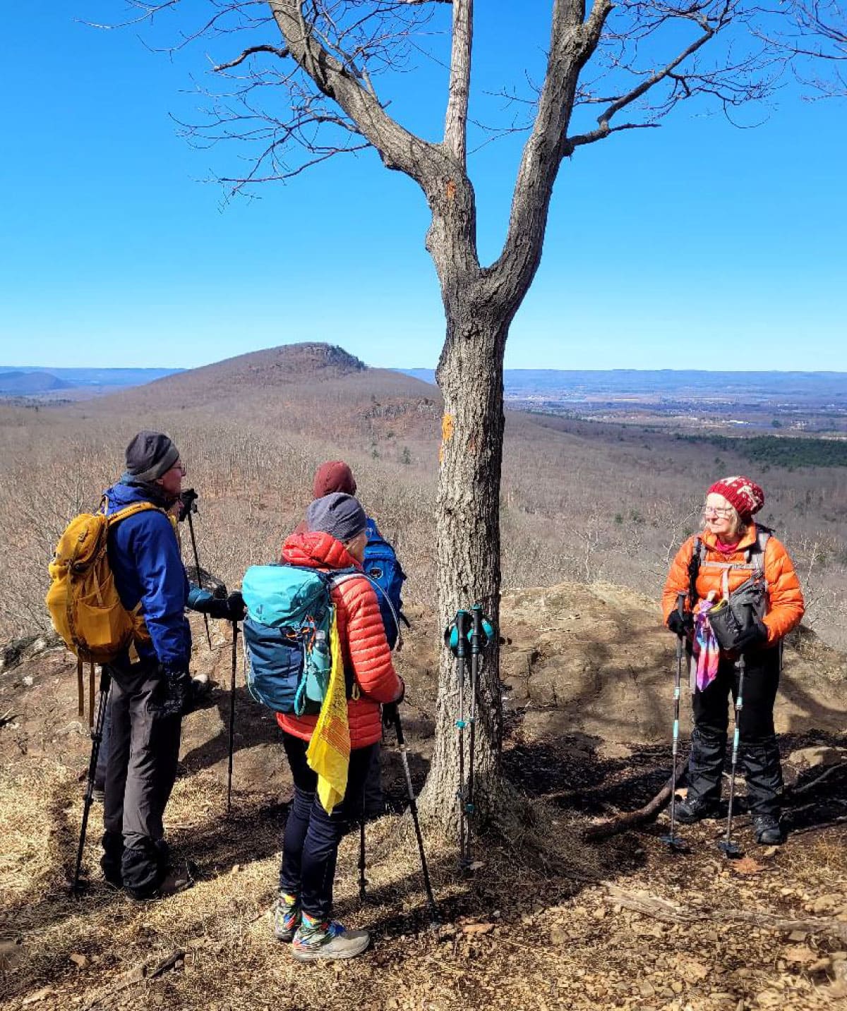 Tuesday hikers on the NET