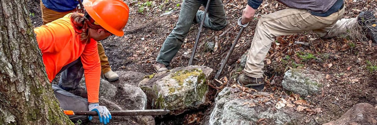 Workers clearing a trail