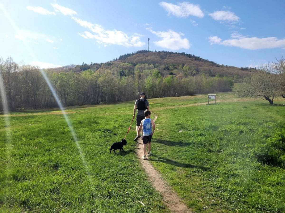 Family walking with a dog