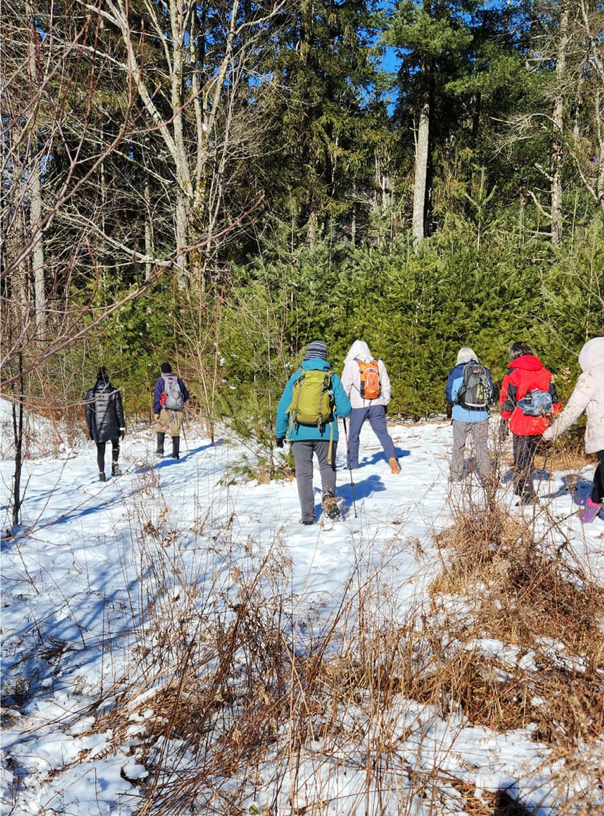 People looking for wildlife tracks