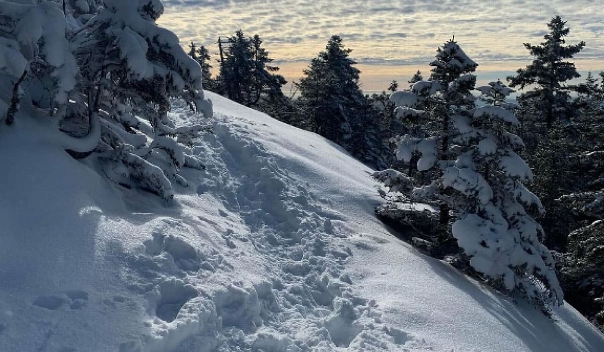 Scenic view in winter