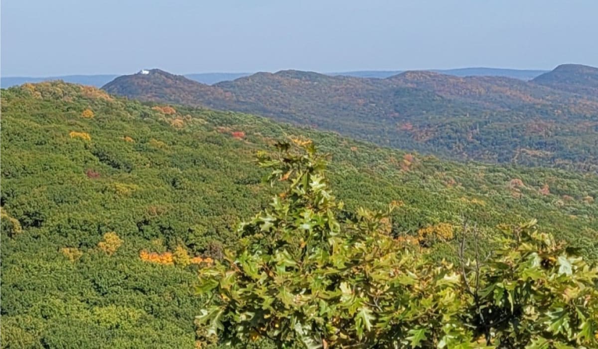 Fall view