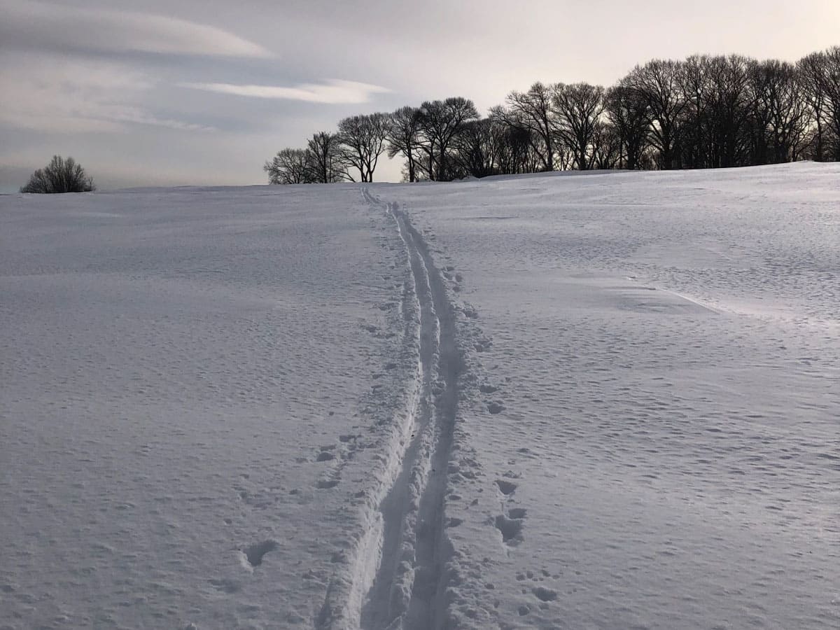 Ski tracks