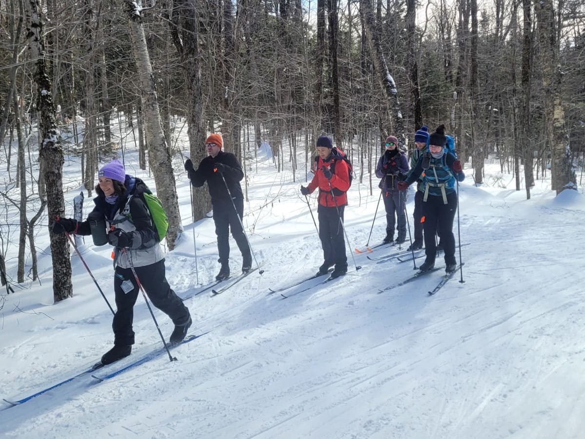 Cross-country skiers